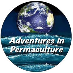 Adventures in Permaculture