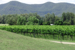 Australian wine country needs a lot of oil and coal to stay in business.